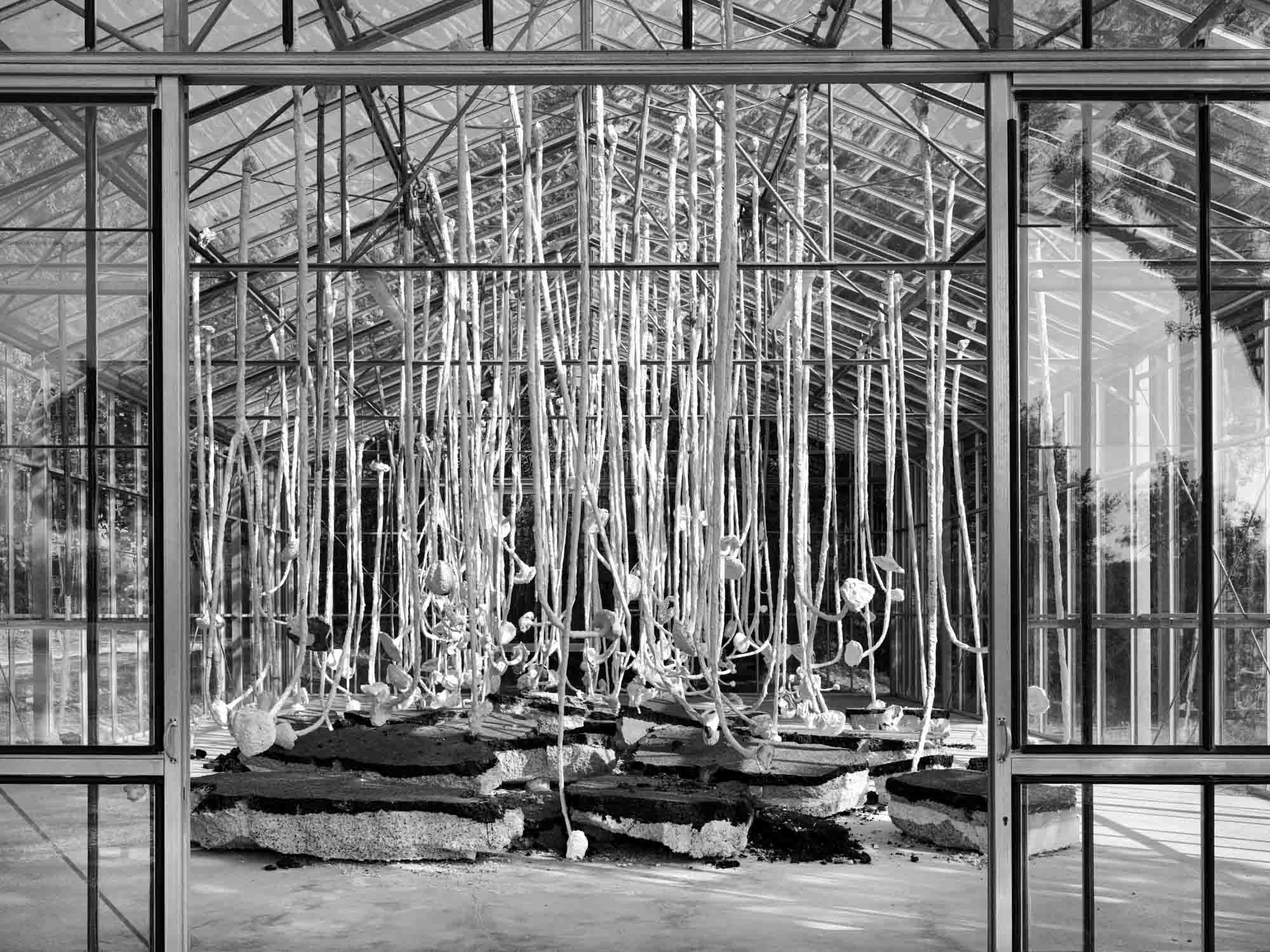 Greenhouse with sunflower sculpture piece.