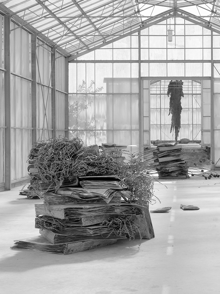 A Large greenhouse with Kiefer's lead book sculptures